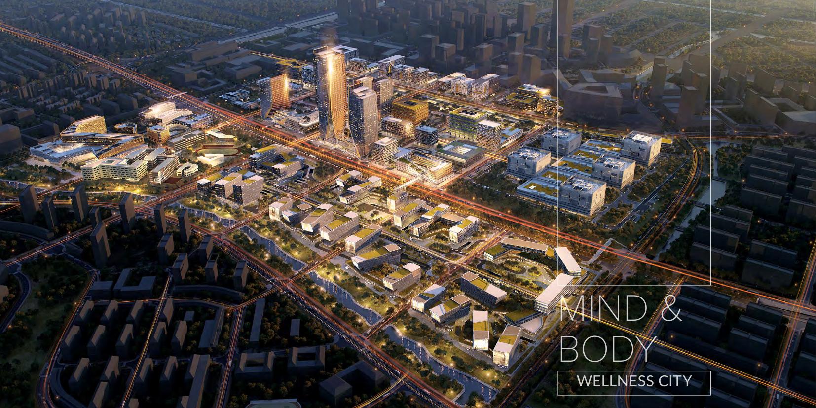 Wellness City
